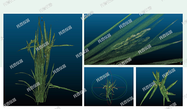 托普云农高通量植物表型采集分析平台全新上线！